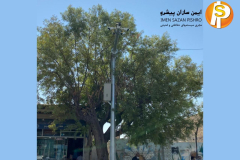 WhatsApp-Image-2021-09-05-at-8.04.19-PM-2